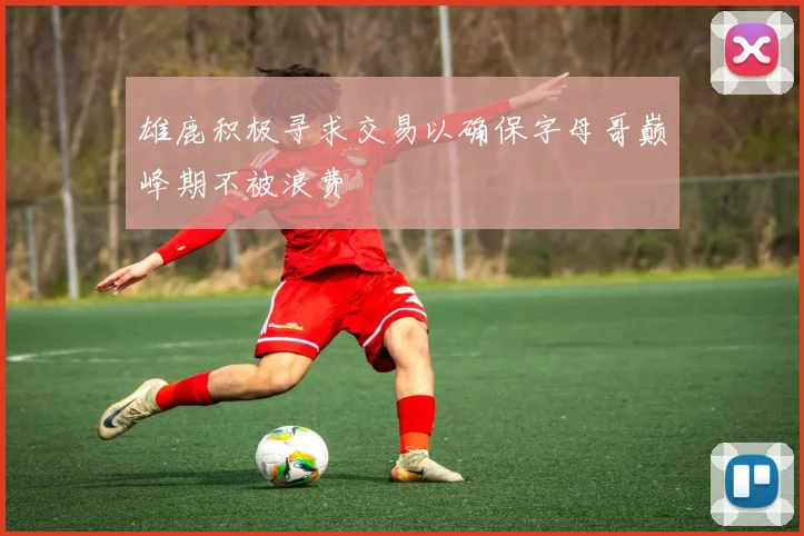 雄鹿积极寻求交易以确保字母哥巅峰期不被浪费