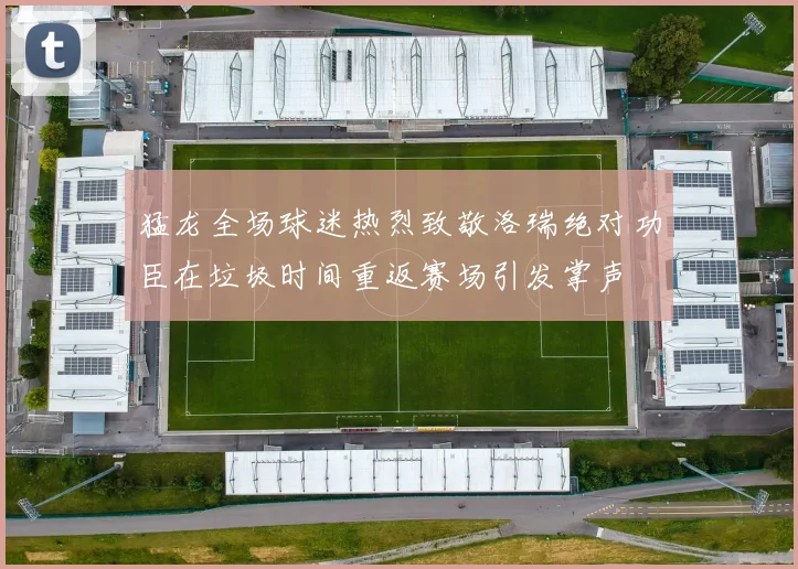 猛龙全场球迷热烈致敬洛瑞绝对功臣在垃圾时间重返赛场引发掌声